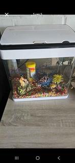 Kleine aquarium, Dieren en Toebehoren, Ophalen, Gebruikt, Leeg aquarium