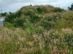 GRATIS Zwarte grond, teelaarde, en beetje gele grond, Tuin en Terras, Aarde en Mest, Ophalen of Verzenden