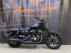 Harley-Davidson Chopper Sportster Iron 883 XL883N, Entreprise, Plus de 35 kW, 883 cm³, Autre