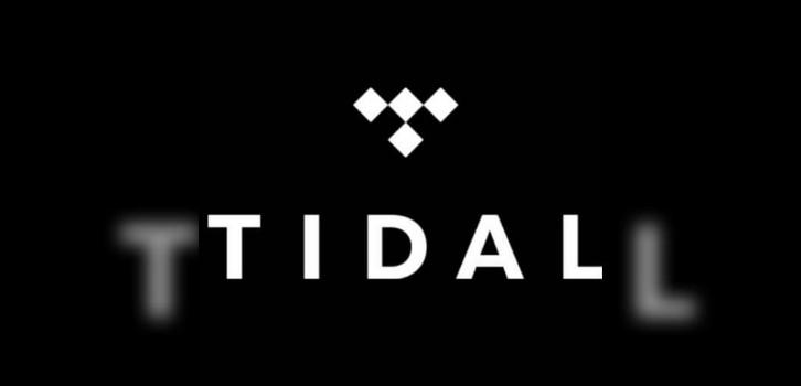 Tidal WiFi Plus, Audio, Tv en Foto, Soundbars, Zo goed als nieuw