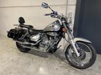 Suzuki VL 250 Intruder, 12 à 35 kW, 250 cm³, 2 cylindres, Chopper