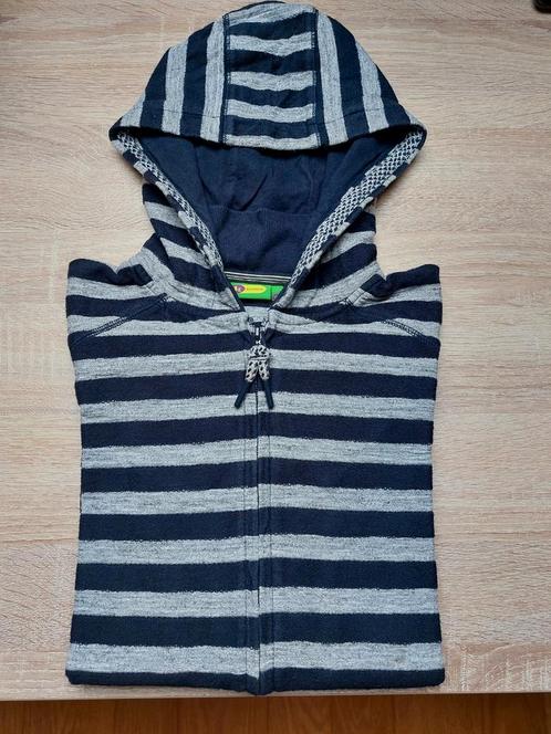 Prachtige, kwaliteisvolle  sweater met rits en kap - JBC, Kinderen en Baby's, Kinderkleding | Maat 152, Zo goed als nieuw, Jongen