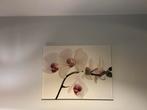 Canvas orchidee, Huis en Inrichting, Ophalen, Zo goed als nieuw