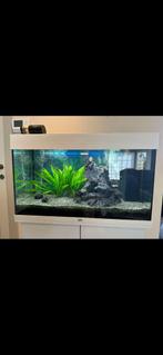 Aquarium 125l + vissen + toebehoren items, Ophalen