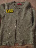 grijs vest met glitters hema maat 122, Kinderen en Baby's, Kinderkleding | Maat 122, Meisje, Trui of Vest, Ophalen of Verzenden