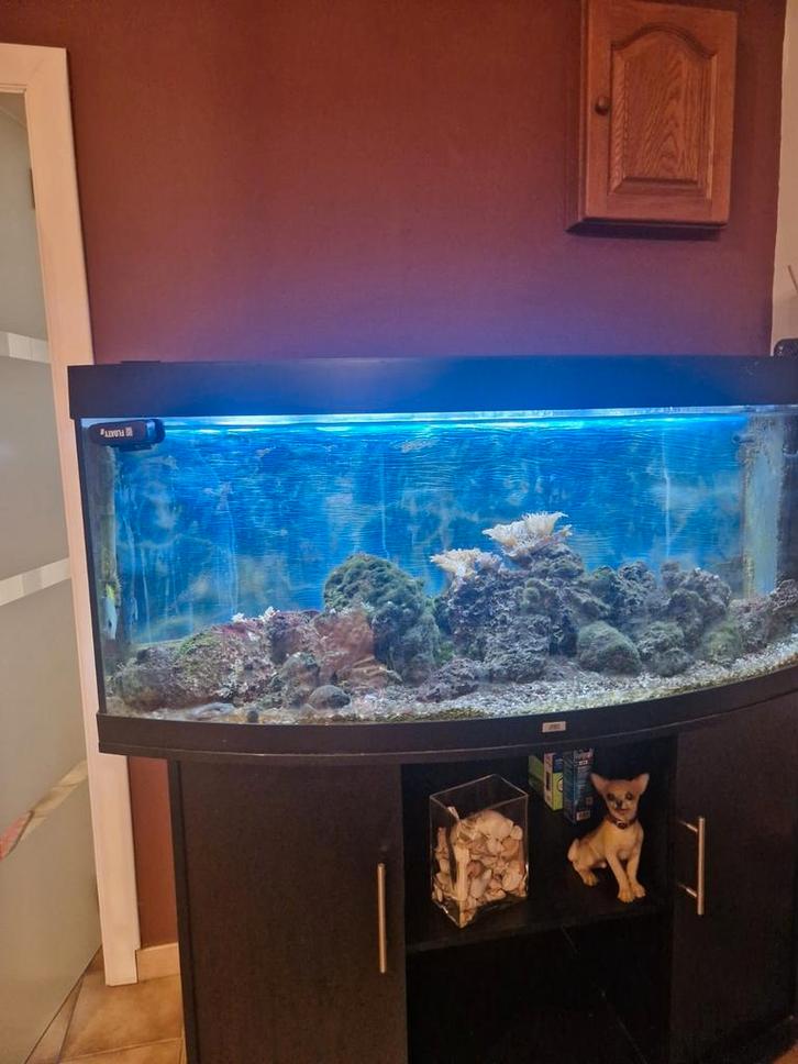 Grand aquarium JUWEL 450L, Dieren en Toebehoren, Vissen | Aquaria en Toebehoren, Zo goed als nieuw, Leeg aquarium, Ophalen of Verzenden
