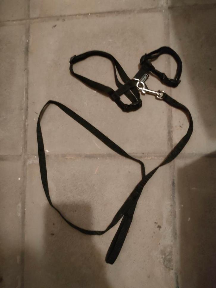 regelbaar kattentuigje met riem, Dieren en Toebehoren, Katten-accessoires, Gebruikt, Ophalen