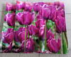 2 Canvas Tulpenlandschap 60x60 cm, Ophalen of Verzenden, Gebruikt