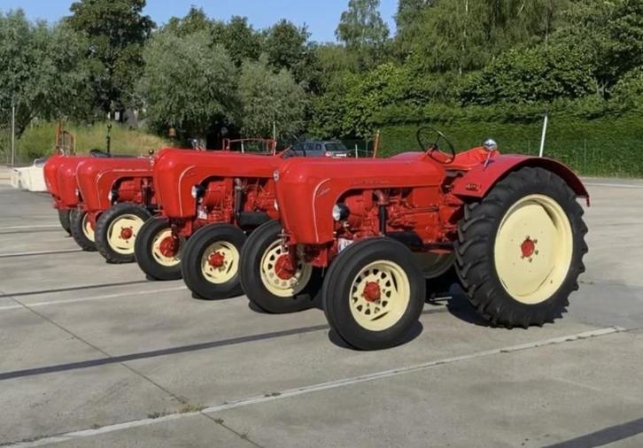 Collectie van 4 gerenoveerde Porsche oldtimer-tractoren, Auto's, Oldtimers, Particulier, Porsche, Diesel, Overige carrosserie