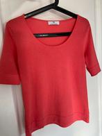 Peter Hahn tshirt 38 M, Kleding | Dames, Ophalen of Verzenden, Zo goed als nieuw, Maat 38/40 (M)