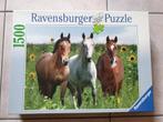 Twee Puzzels Ravensburger - 1000 en 1500 Stukjes, Ophalen, 500 t/m 1500 stukjes, Zo goed als nieuw, Legpuzzel