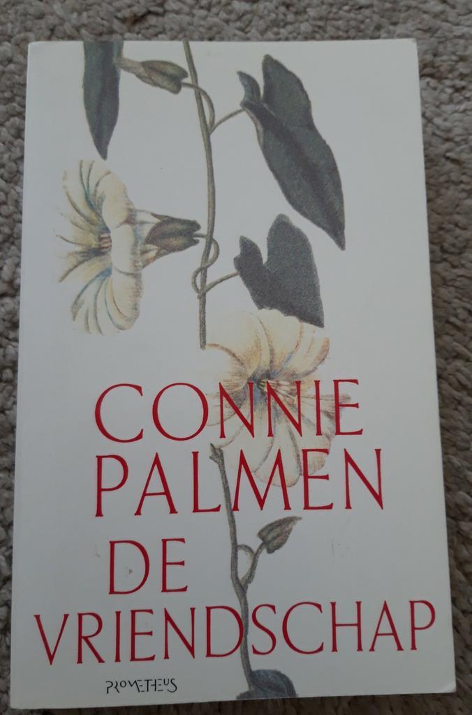 Connie Palmen - De vriendschap, Boeken, Romans, Zo goed als nieuw, Ophalen of Verzenden
