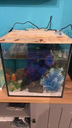 Visbak, Dieren en Toebehoren, Ophalen, Zo goed als nieuw