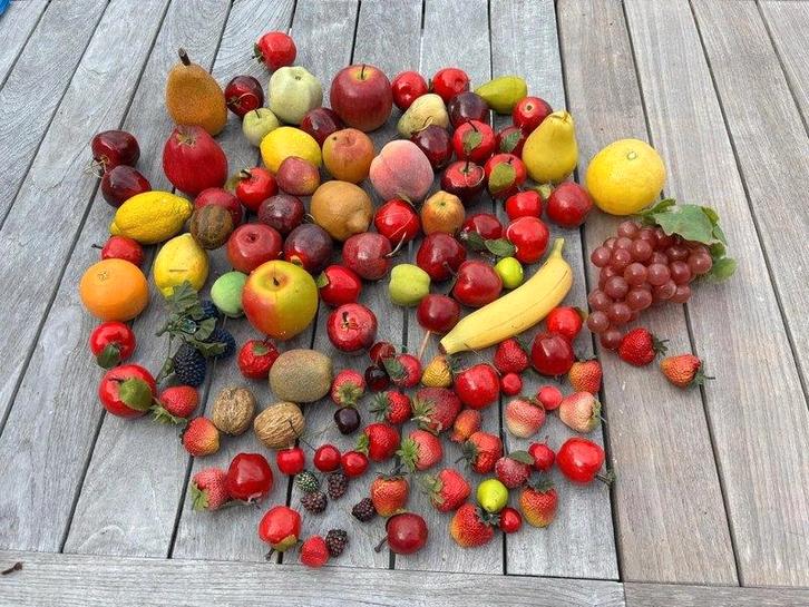 Divers fruit in plastic, Maison & Meubles, Accessoires pour la Maison | Autre, Utilisé, Enlèvement ou Envoi