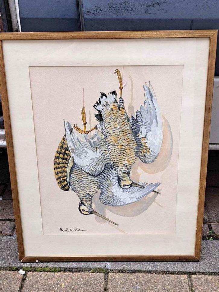 Aquarelle oiseaux signe paul georges klein, Antiek en Kunst, Kunst | Schilderijen | Klassiek, Ophalen of Verzenden