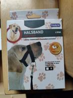 Halsband easy leader, Ophalen of Verzenden, Nieuw, Hondenriem