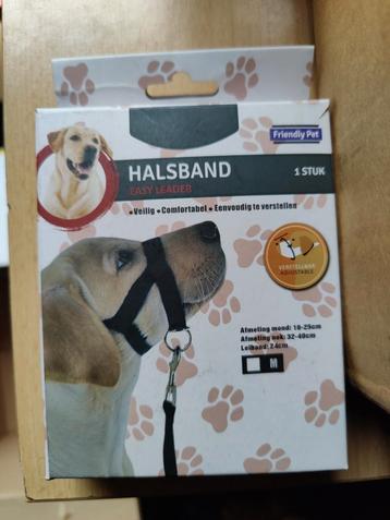Halsband easy leader beschikbaar voor biedingen