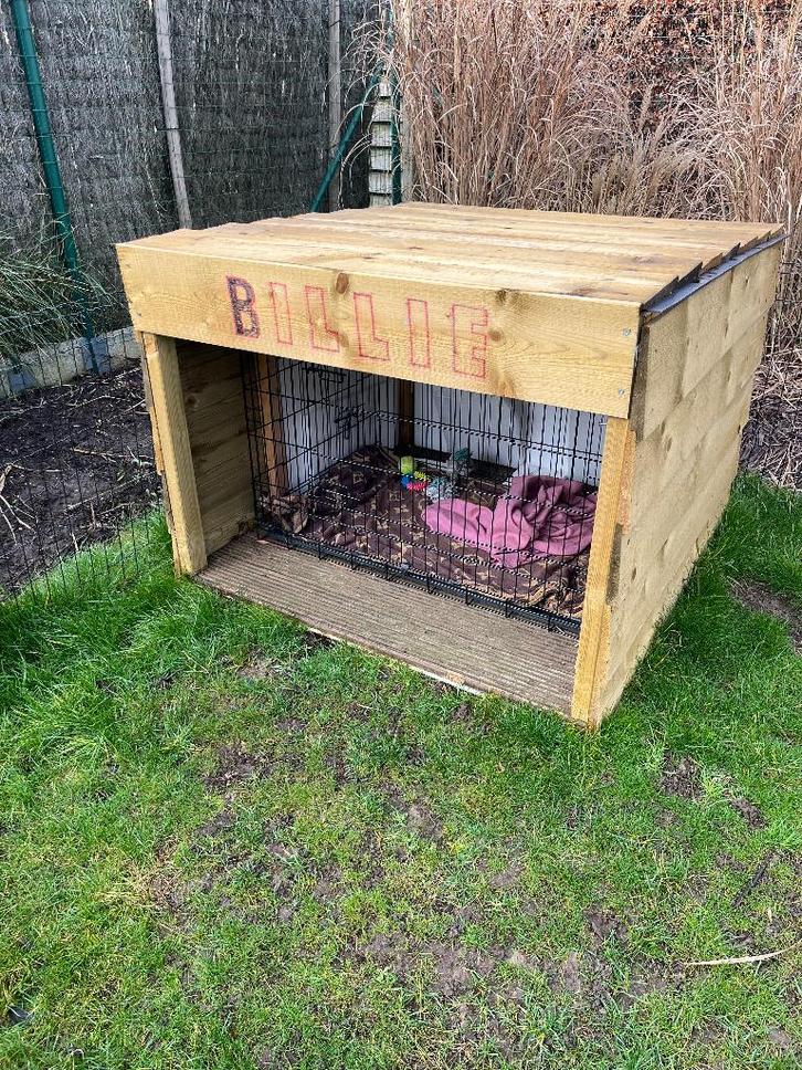 Hondenhokken, Dieren en Toebehoren, Hondenhokken, Zo goed als nieuw, Hondenhok, 65 tot 100 cm, 110 cm of meer, Ophalen