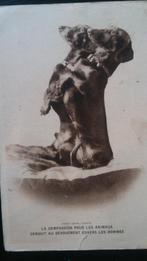 Diverse ansichtkaarten voor honden, Verzenden, Voor 1920, Gelopen, Antwerpen