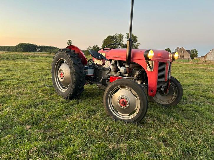 Ferguson TE 20 Diesel met Belgische papieren, Zakelijke goederen, Landbouw | Tractoren, Massey Ferguson, Oldtimer, Ophalen