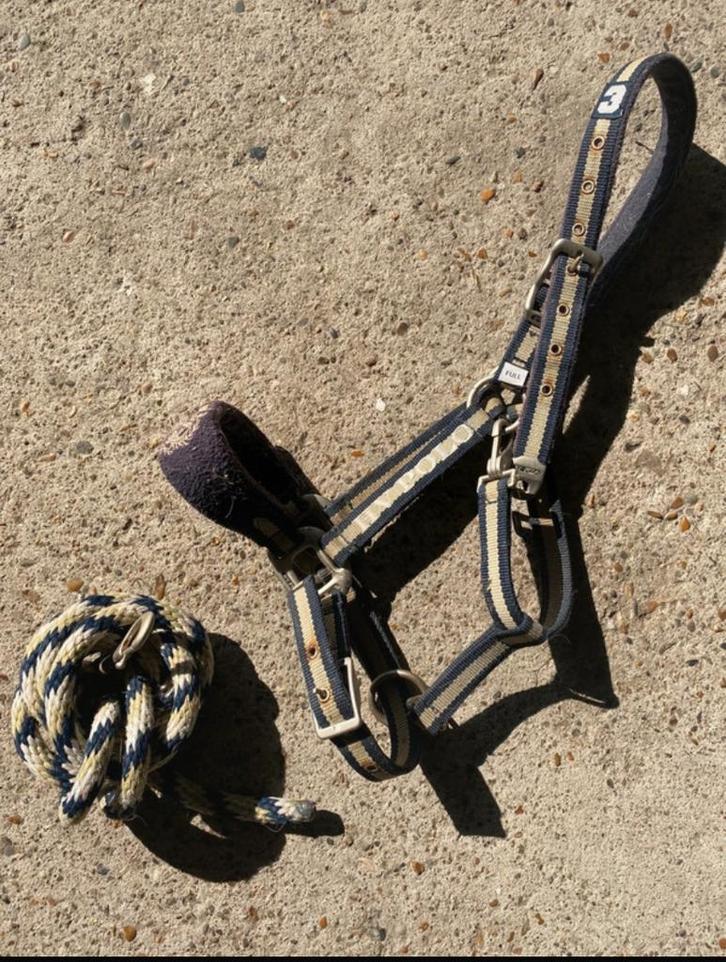 Hoofdstel + Halstertouw Full HV Polo, Motoren, Onderdelen | Harley-Davidson, Gebruikt, Ophalen of Verzenden