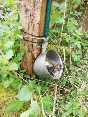 Abreuvoir animaux  beschikbaar voor biedingen