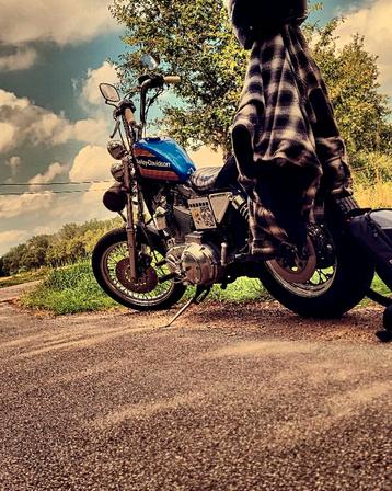 Harley Davidson Sportster 1200 kit, Plus de 35 kW, Chopper, 2 cylindres, Particulier