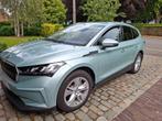 Enyak IV 80, Auto's, Automaat, Achterwielaandrijving, Start-stop-systeem, Elektrisch