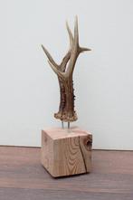 Zesender REE GEWEI paar op stevige houten sokkel (ref. 2), Verzamelen, Dierenverzamelingen, Ophalen of Verzenden, Nieuw, Hert