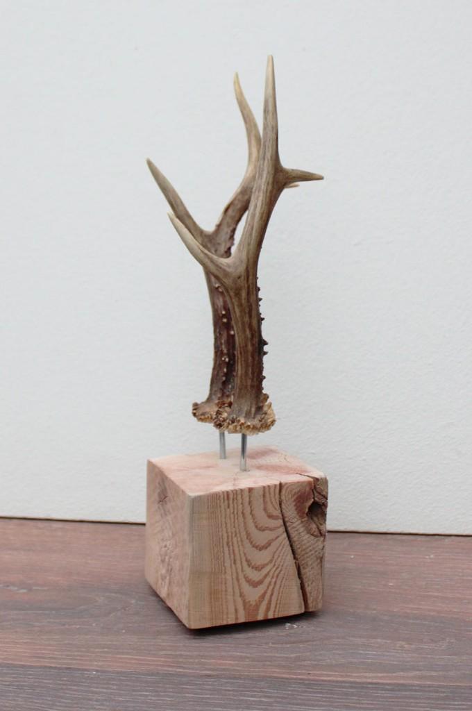 Zesender REE GEWEI paar op stevige houten sokkel (ref. 2), Verzamelen, Dierenverzamelingen, Nieuw, Gewei of Kop, Hert, Ophalen of Verzenden