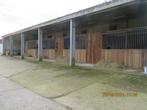 paardenboxen (luxe - groot) te huur 6 stuks Beveren, Weidegang, 4 paarden of pony's of meer