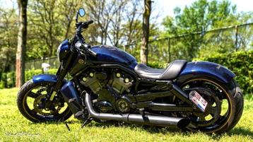 Harley Davidson VR1 V7F beschikbaar voor biedingen