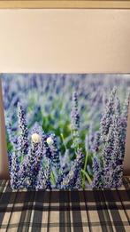 Schilderij lavendel, Ophalen of Verzenden, Zo goed als nieuw, Schilderij