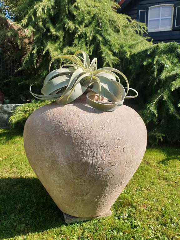 kruikvaas - vaas - landelijk, Maison & Meubles, Accessoires pour la Maison | Vases, Neuf, Enlèvement ou Envoi