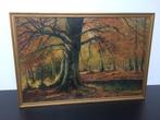 antiek schilderij boslandschap in de herfst, Ophalen