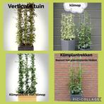 NIEUW!!! Klimrekken voor steunvragende planten ROESTVRIJ, Tuin en Terras, Vaste plant, Ophalen of Verzenden, Klimplanten