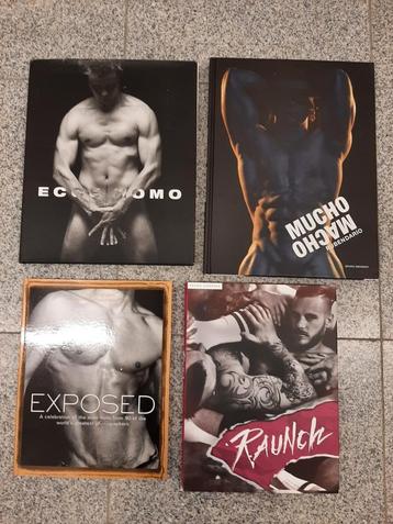 bruno gmunder  2x naakt boeken  disponible aux enchères