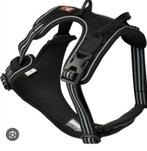 Harnais dog's creek, Enlèvement