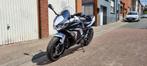 Ninja 650 uit 2020 Urgent, 2 cilinders, 650 cc, 12 t/m 35 kW, Sport