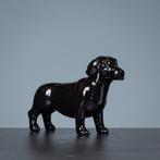 Beeld: Teckel, Dieren en Toebehoren, Honden | Teckels en Dashonden, 15 weken tot 1 jaar, Handelaar, Buitenland, Meerdere