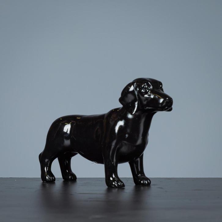 Beeld: Teckel, Dieren en Toebehoren, Honden | Teckels en Dashonden, Handelaar, Meerdere, Buitenland, 15 weken tot 1 jaar