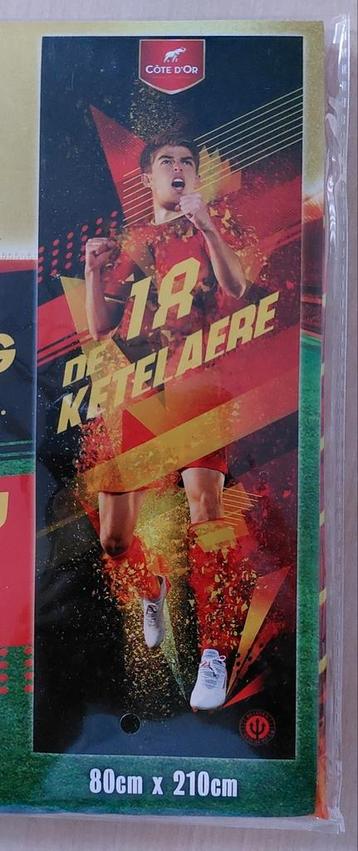 Charles De Ketelaere deurvlag 210cm x 80cm.  beschikbaar voor biedingen