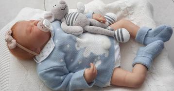 Reborn baby disponible aux enchères