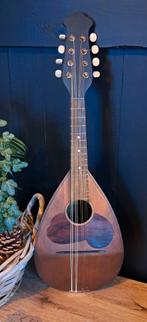 Mandoline Napolitaine Fratelli Umberto, Enlèvement