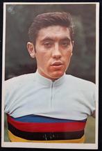 Foto/postkaart Eddy Merckx, Verzamelen, Ophalen of Verzenden, Zo goed als nieuw