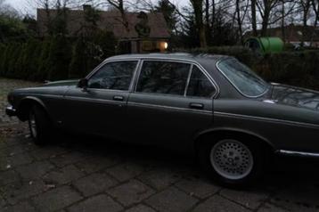 1985 Jaguar xj12 beschikbaar voor biedingen