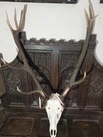 Gewei Hert (2), Antiek en Kunst, Ophalen