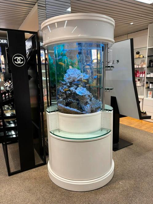 Aquarium te koop, Dieren en Toebehoren, Vissen | Aquaria en Toebehoren, Gebruikt, Gevuld zoetwateraquarium, Ophalen