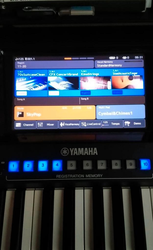 Styles en Songstyles voor Tyros, Genos, Hobby en Vrije tijd, Overige Hobby en Vrije tijd, Nieuw, Verzenden