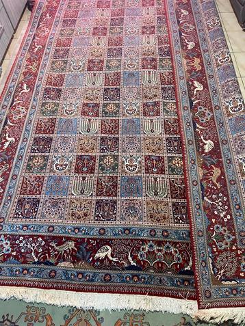 Persian tepis 245x354, Enlèvement, Neuf